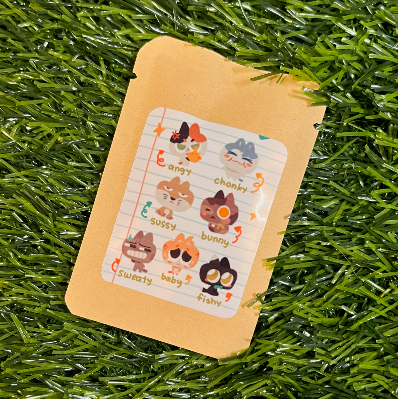 Catcha Blind Bags